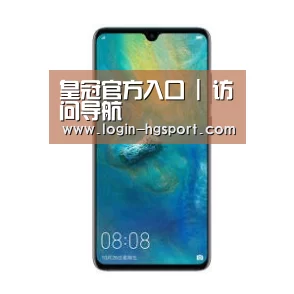 华为无线快充手机