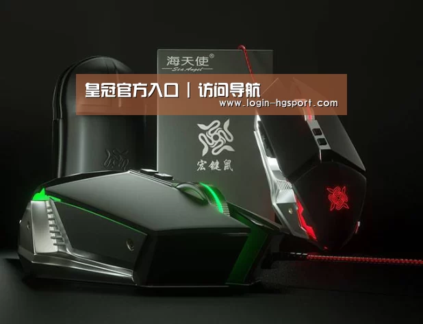 鼠标封面设计
