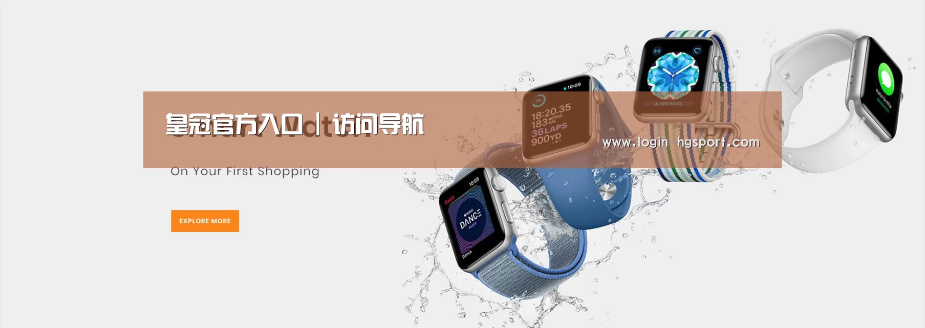 某某网络科技有限公司