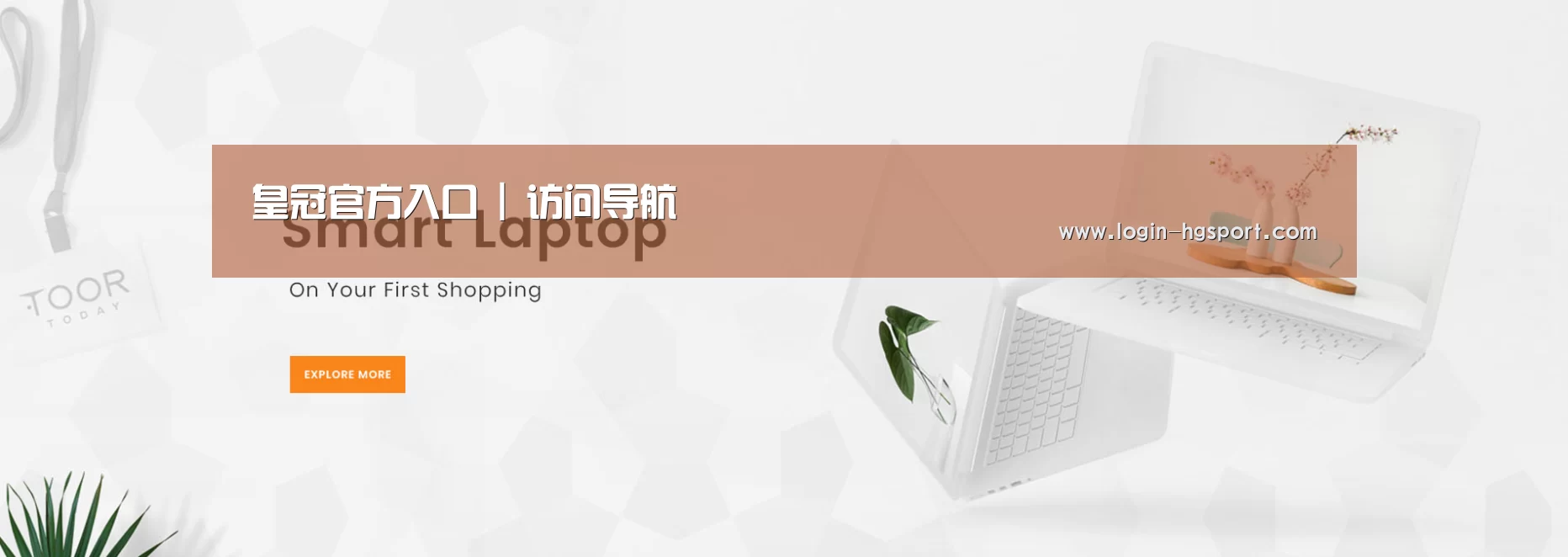 某某网络科技有限公司
