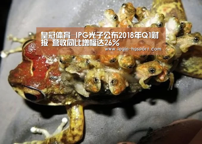 皇冠体育-IPG光子公布2018年Q1财报 营收同比增幅达26%(图1) 皇冠体育