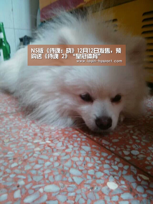 皇冠入口