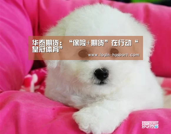 皇冠体育手机版
