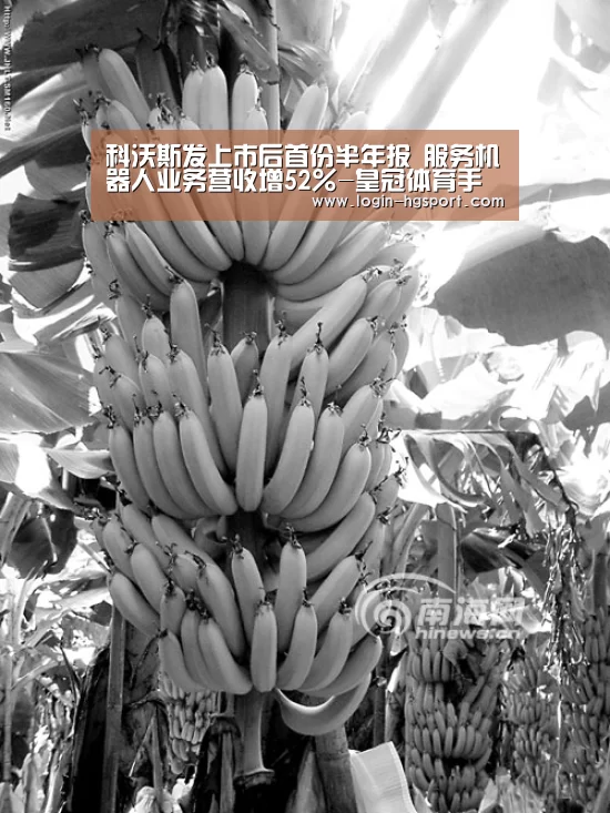 皇冠体育手机版