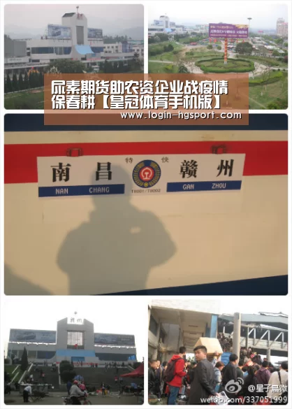 皇冠体育手机版