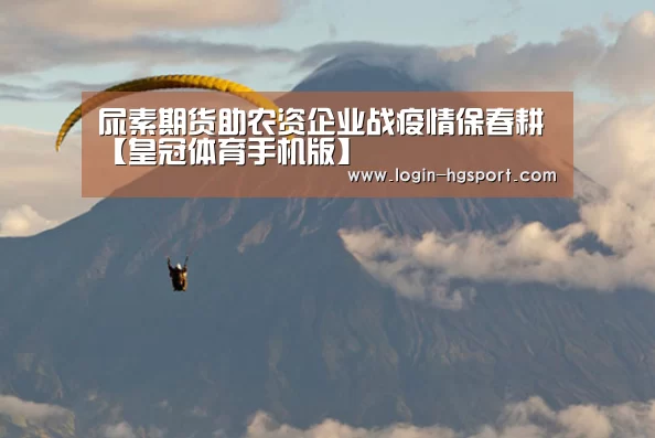 皇冠入口